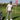 GOLF PERFORMANCE